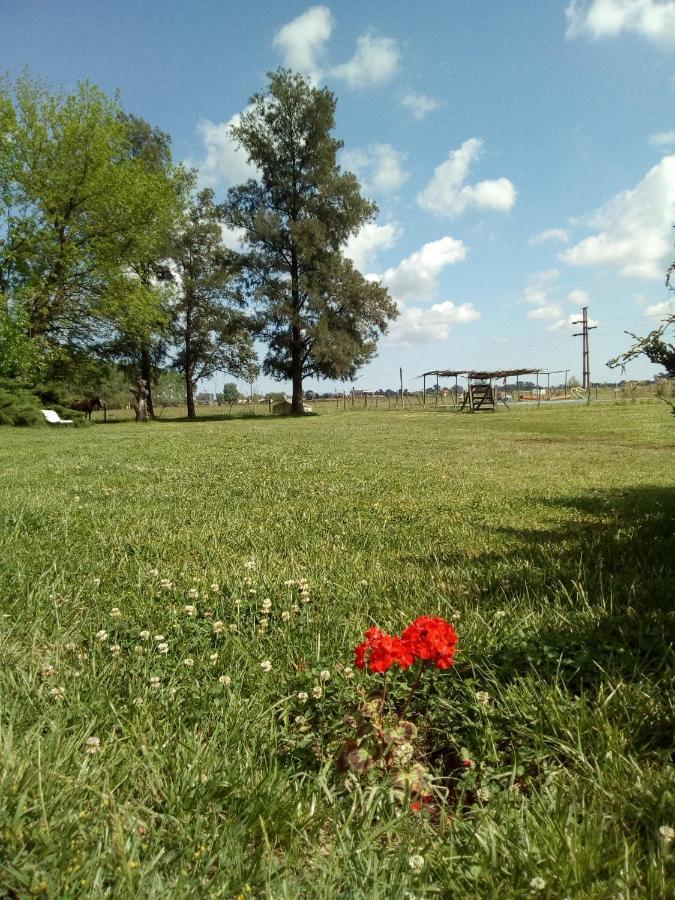 سان أنطونيو دي أريكو Hotel El Triunfo De Areco المظهر الخارجي الصورة
