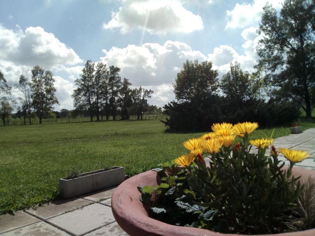 سان أنطونيو دي أريكو Hotel El Triunfo De Areco المظهر الخارجي الصورة