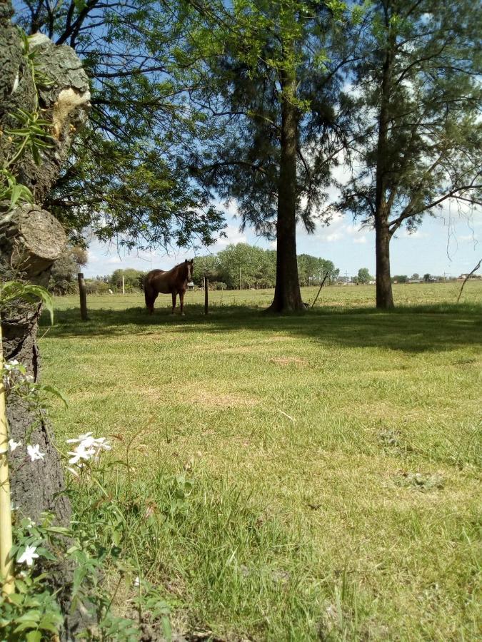 سان أنطونيو دي أريكو Hotel El Triunfo De Areco المظهر الخارجي الصورة